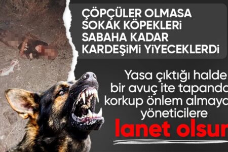 Er verlor sein Leben durch einen Angriff eines streunenden Hundes in Istanbul: Ayhan Özçelik wurde auf seiner letzten Reise vom Platz gestellt