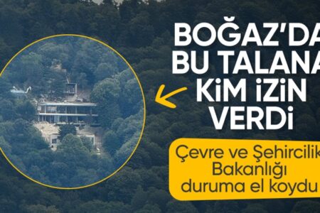 Illegaler Villenbau im Waldgebiet am Bosporus