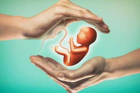 Phase der künstlichen Intelligenz bei der In-vitro-Fertilisation: 10-mal schneller als Ärzte