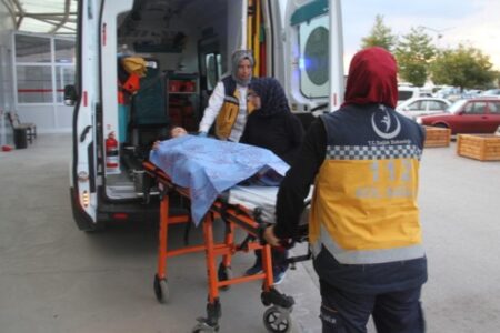 Streunende Hunde haben in Konya ein 6-jähriges Kind angegriffen