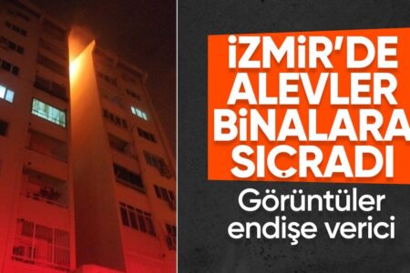 Waldbrand-Albtraum in Izmir: Flammen verschlangen Gebäude