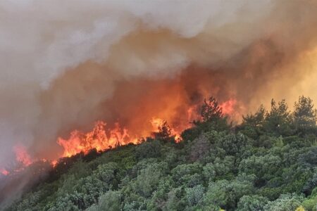 Waldbrand in Çanakkale