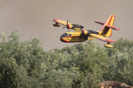 Wegen Vorwürfen zu Waldbränden wurde ein Verfahren eingeleitet