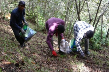 Afrikanische Universitätsstudenten in Giresun verdienen ihr Taschengeld mit Haselnüssen