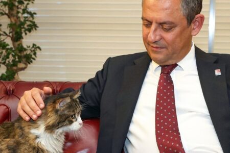 CHPs Katze Şero ist verstorben