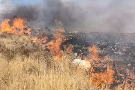 Das Feuer, das in einer Wiese in Mersin ausgebrochen war, wurde gelöscht