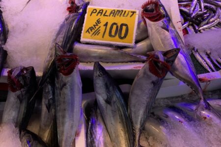 Das Interesse der Bürger an dem Bonito, der in Eskişehir für jeweils 100 Lira verkauft wird, ist groß.