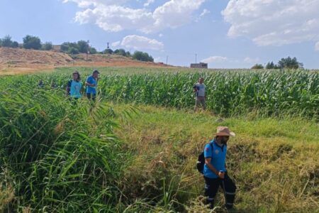 Die kleine Narin, die in Diyarbakır verschwunden ist, wird seit 14 Tagen gesucht.