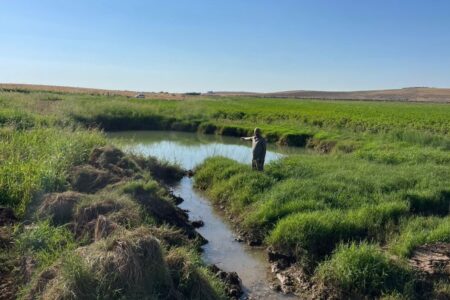 In der Harran-Ebene in Şanlıurfa haben sich riesige Dolinen gebildet, die den Bauern Angst machen