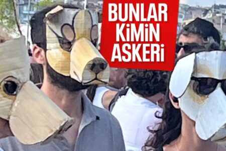 In Istanbul wurde gegen streunende Tiere vorgegangen: Sie verkleideten sich als Hunde