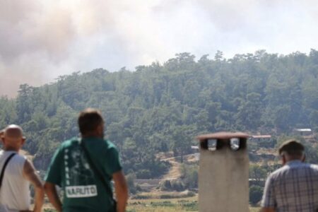 Waldbrand in drei Provinzen: Flammen breiten sich schnell aus
