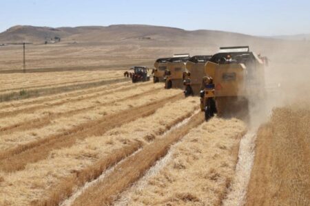 Zusammenarbeit im Bereich der Landwirtschaft zwischen Türkiye und Ägypten