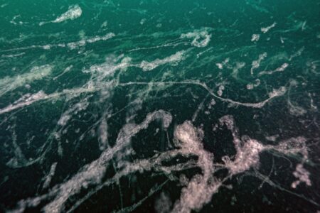 Der Schleim-Albtraum ist zurück im Marmarameer