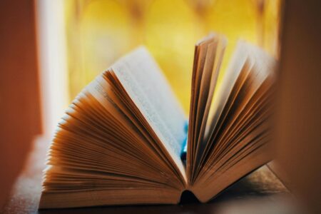 Du hast in den Apfel gebissen und es stellte sich heraus, dass er faul war. Würdest du ihn trotzdem essen? Das Buch ist dasselbe, wenn es Sie nicht packt, lassen Sie es in Ruhe