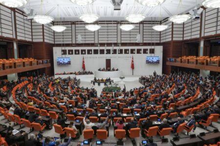 In der Großen Nationalversammlung der Türkei wurde ein Ausschuss zur Untersuchung von Todesfällen bei Babys eingerichtet.