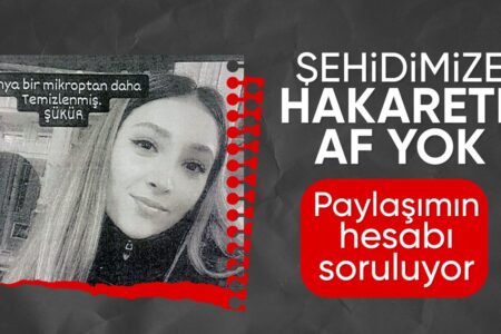 Klage wegen Beleidigung unserer Märtyrerin Şeyda Yılmaz: Die beantragte Strafe steht fest