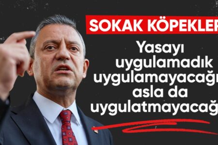 Özgür Özel: Wir haben das Streunerhundegesetz nicht umgesetzt, wir werden es auch nicht umsetzen