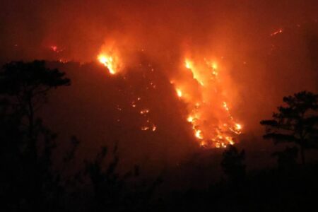 Waldbrand in Muğla! Die Flammen sind größer geworden, die Löscharbeiten gehen weiter