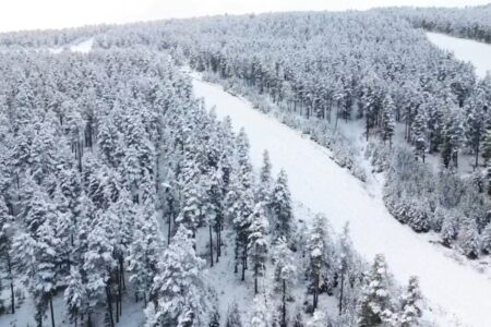 Winteransichten in Sarıkamış