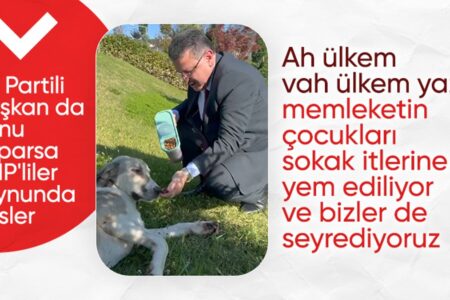 Anführer Ahmet Metin Genç aus Trabzon fütterte den streunenden Hund mit der Hand
