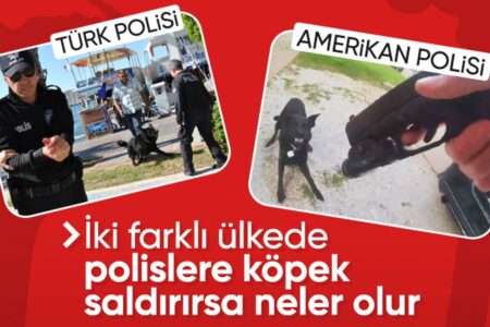 Während der Feierlichkeiten am 29. Oktober in Muğla griff ein Hund Polizisten an