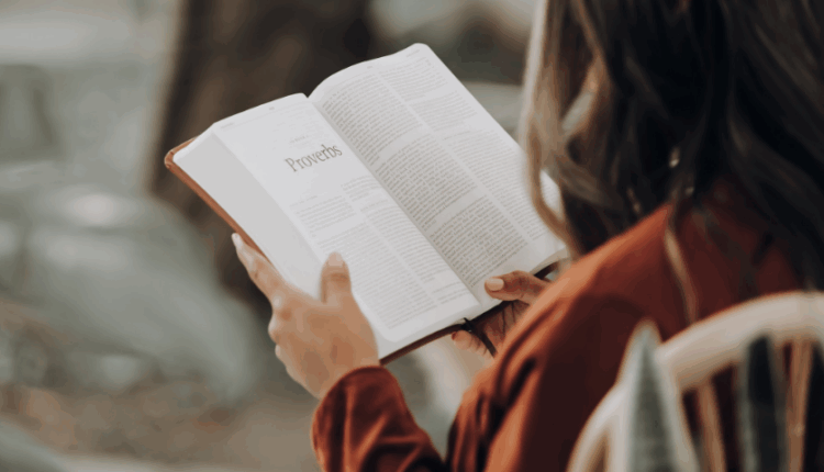 Die beste App zum schnellen Erlernen der deutschen Grammatik