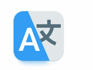 Die beste App für sofortige Sprach- und Textübersetzung in alle Sprachen