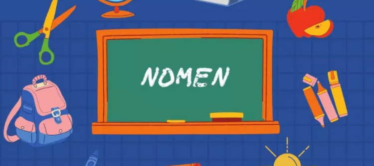 Die einfachste App zum Lernen deutscher Nomen und ihrer Deklinationen