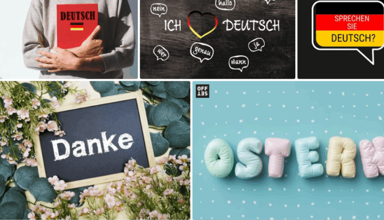 Die einfachste App zum Beherrschen deutscher Wörter in 4 Niveaustufen